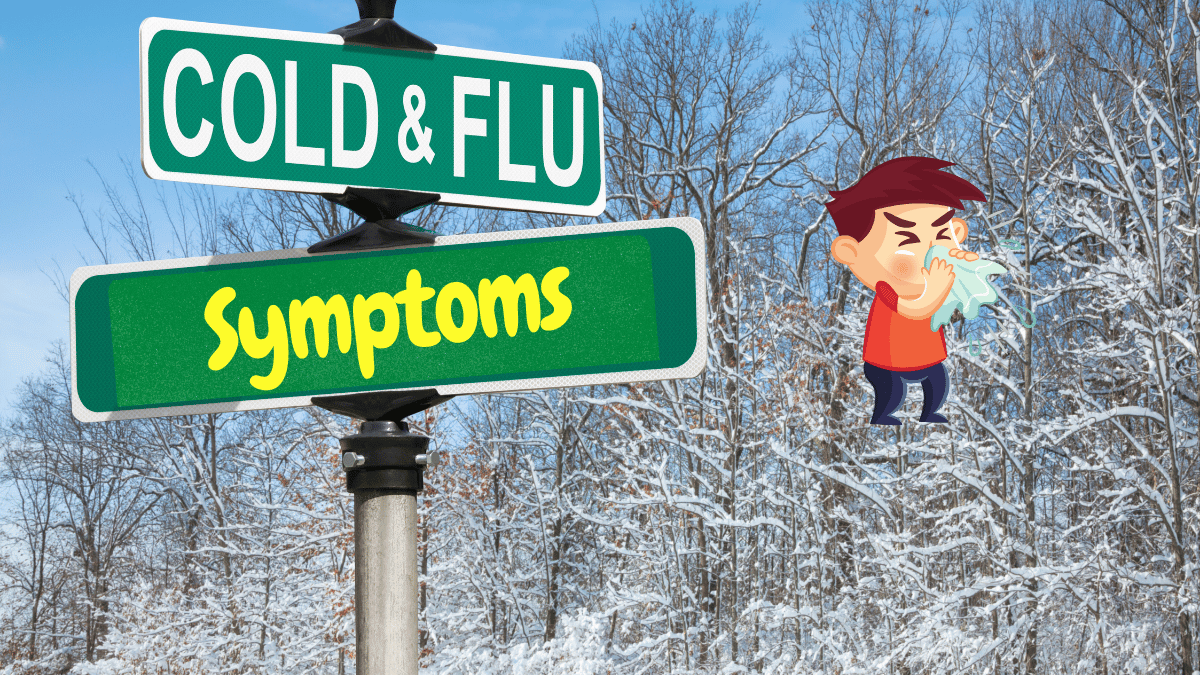 Cold and Flu Symptoms Key Differences and Remedies