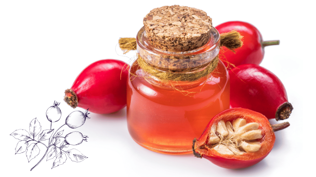 Rosehip Oil for Skin Renewal